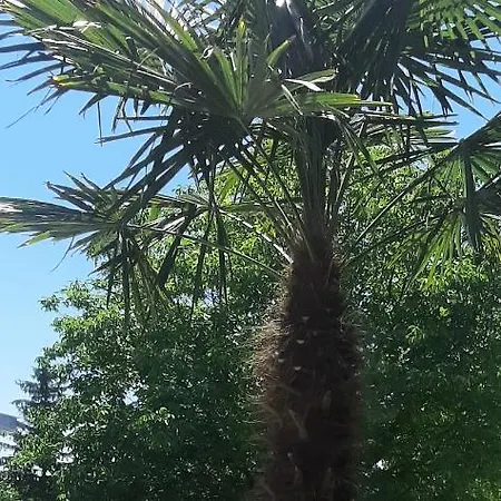 Zoeldhaz Panzio Bed & Breakfast Gyenesdiás