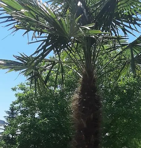 Zöldház Panzió Alojamento de Acomodação e Pequeno-almoço Gyenesdiás